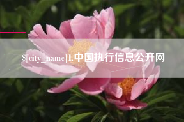 潍坊1.中国执行信息公开网