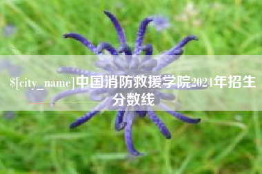 潍坊中国消防救援学院2024年招生分数线