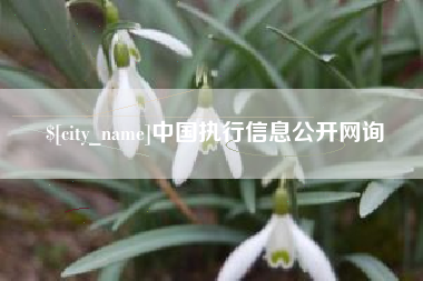 潍坊中国执行信息公开网询