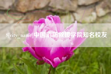 潍坊中国消防救援学院知名校友