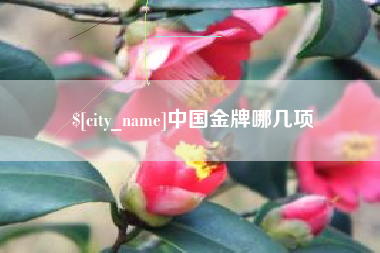 潍坊中国金牌哪几项