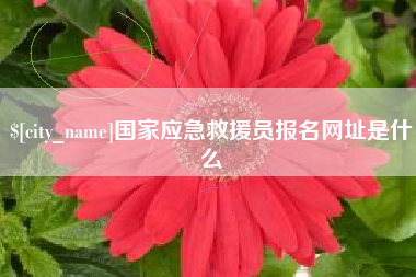 潍坊国家应急救援员报名网址是什么