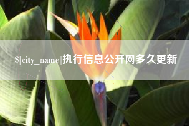 潍坊执行信息公开网多久更新