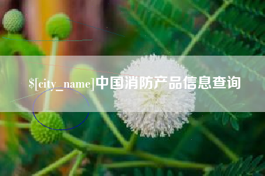 潍坊中国消防产品信息查询