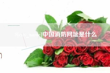 潍坊中国消防网址是什么
