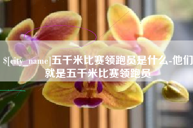 潍坊五千米比赛领跑员是什么-他们就是五千米比赛领跑员