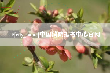 潍坊中国消防报考中心官网