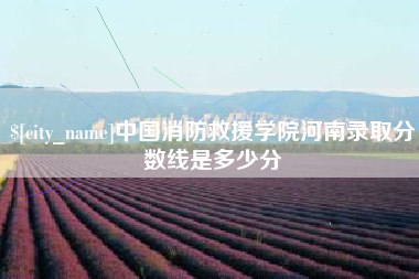 潍坊中国消防救援学院河南录取分数线是多少分