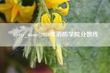 潍坊2020年消防学院分数线