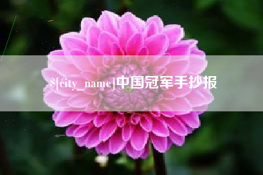 潍坊中国冠军手抄报