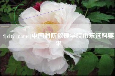 潍坊中国消防救援学院山东选科要求