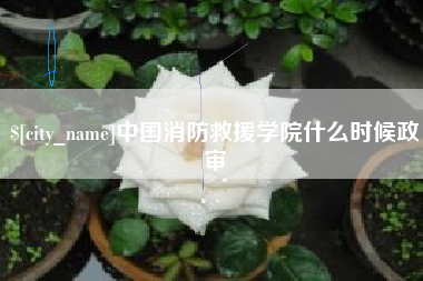 潍坊中国消防救援学院什么时候政审