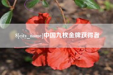 潍坊中国九枚金牌获得者