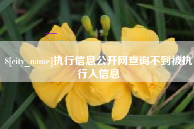 潍坊执行信息公开网查询不到被执行人信息