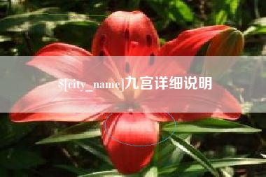 潍坊九宫详细说明
