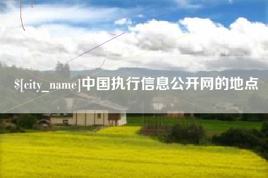 潍坊中国执行信息公开网的地点