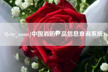 潍坊中国消防产品信息查询系统1