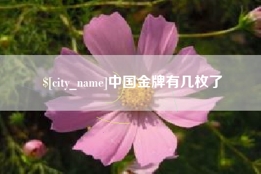 潍坊中国金牌有几枚了