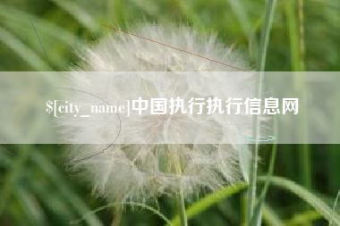 潍坊中国执行执行信息网