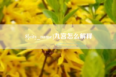 潍坊九宫怎么解释