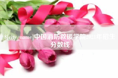 潍坊中国消防救援学院2021年招生分数线