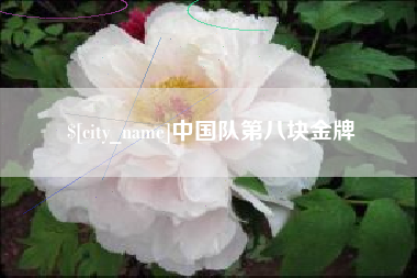 潍坊中国队第八块金牌