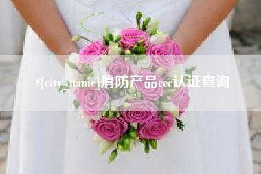潍坊消防产品ccc认证查询