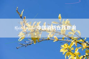 潍坊中国消防在线查询