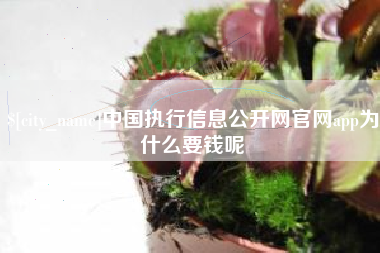 潍坊中国执行信息公开网官网app为什么要钱呢