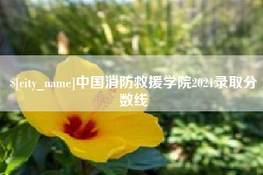 潍坊中国消防救援学院2021录取分数线