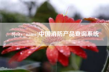 潍坊中国消防产品查询系统