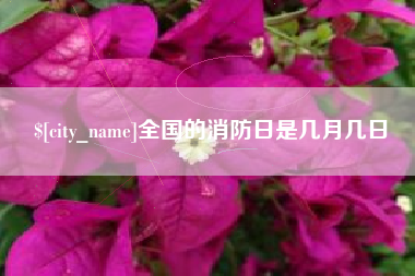 潍坊全国的消防日是几月几日