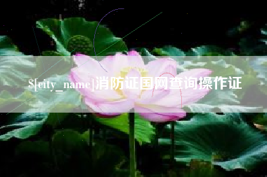 潍坊消防证国网查询操作证