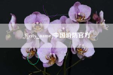 潍坊中国消防官方