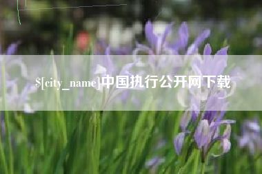 潍坊中国执行公开网下载