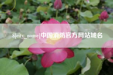 潍坊中国消防官方网站域名
