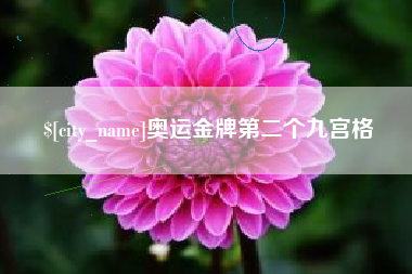 潍坊奥运金牌第二个九宫格