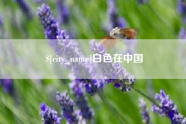 潍坊白色在中国
