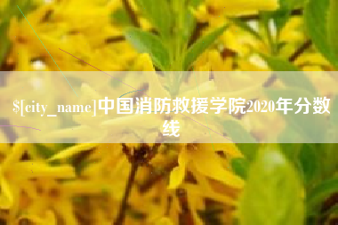 潍坊中国消防救援学院2020年分数线