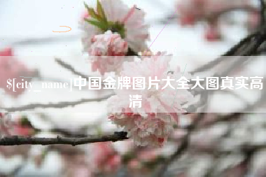 潍坊中国金牌图片大全大图真实高清