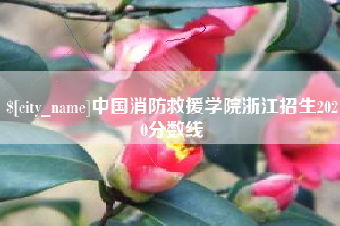 潍坊中国消防救援学院浙江招生2020分数线