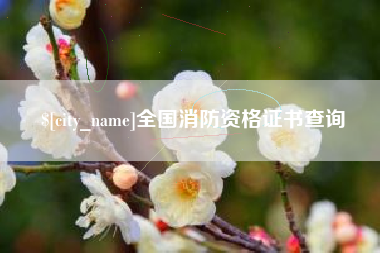 潍坊全国消防资格证书查询