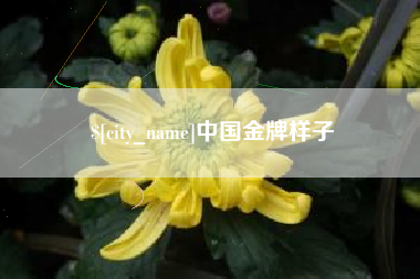 潍坊中国金牌样子