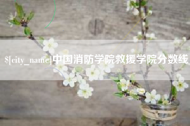 潍坊中国消防学院救援学院分数线
