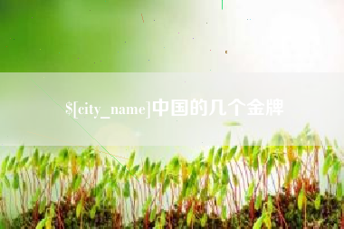 潍坊中国的几个金牌