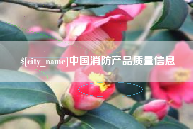 潍坊中国消防产品质量信息