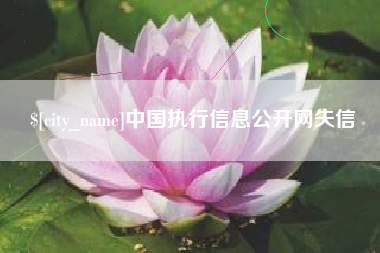 潍坊中国执行信息公开网失信