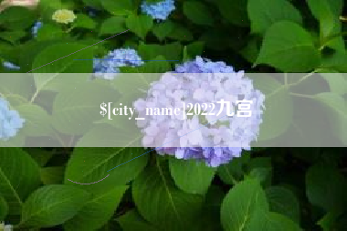 潍坊2022九宫