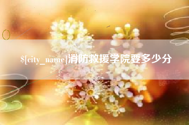 潍坊消防救援学院要多少分