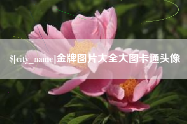 潍坊金牌图片大全大图卡通头像